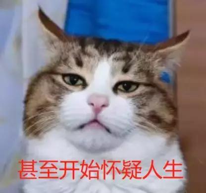 伊利牛奶和蒙牛牛奶哪种营养更好,儿童牛奶和牛奶有区别吗