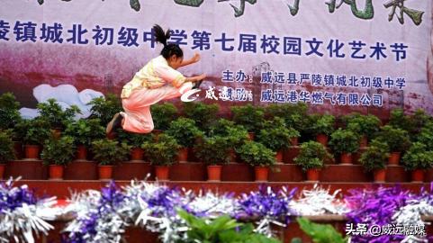 威远县严陵镇少年宫,内江威远少年宫