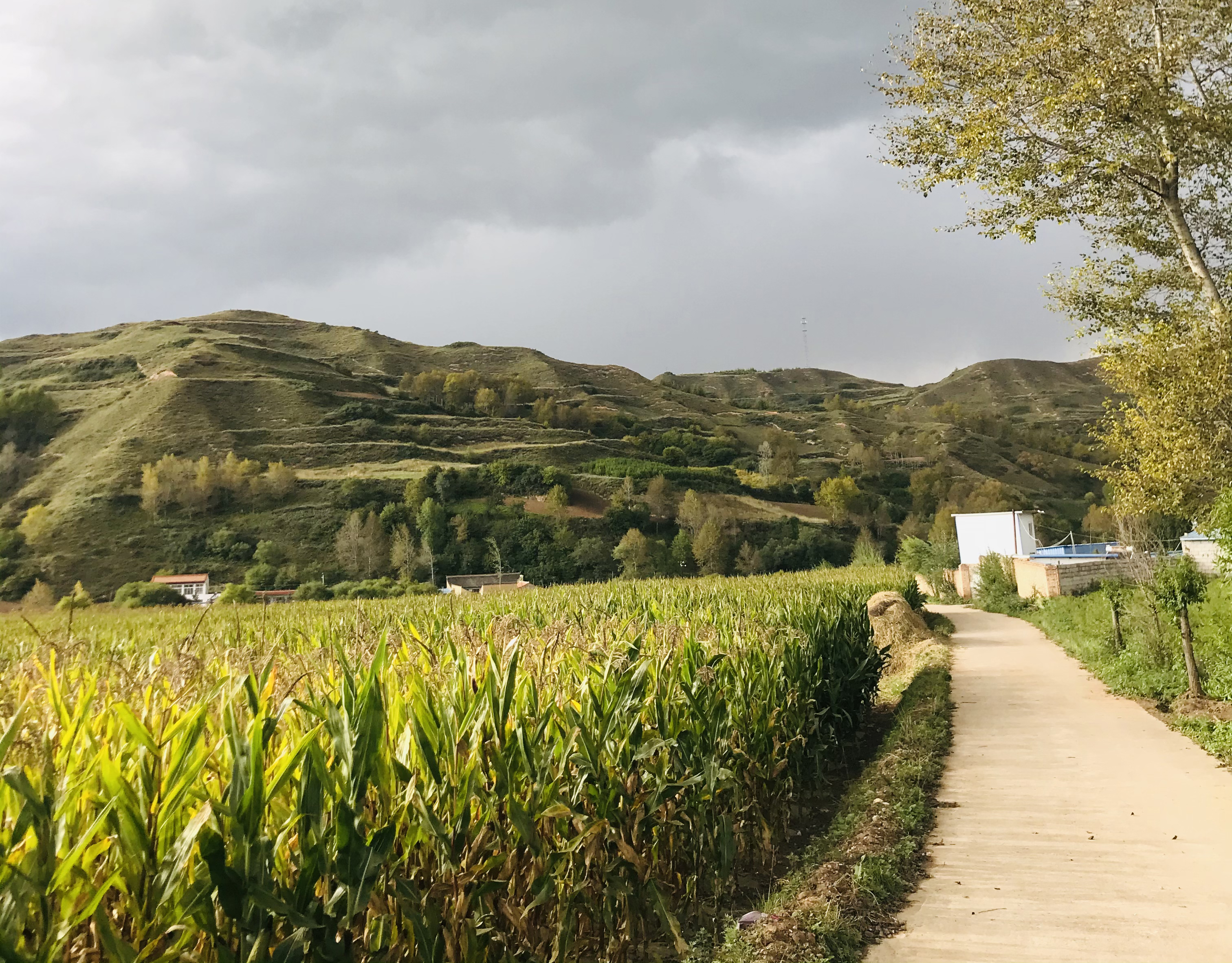 甘肃省渭源县在哪个省哪个市,甘肃渭源县在哪个市