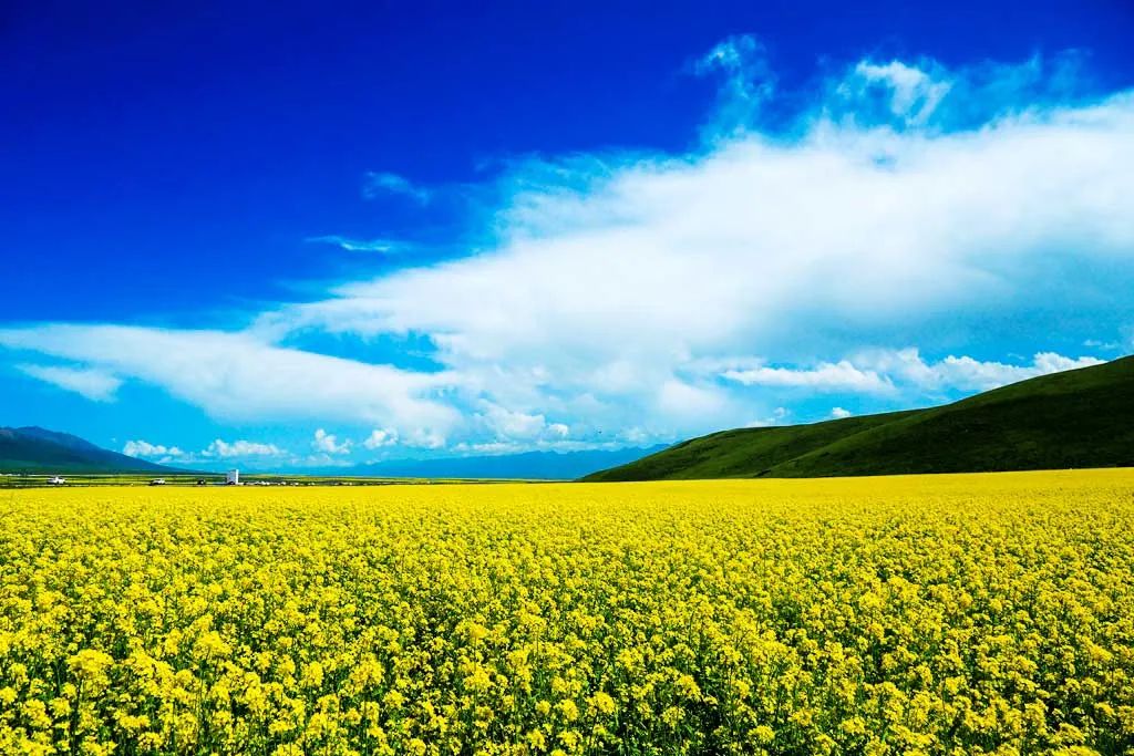 青海最值得去的11个网红景点,青海人间仙境美如画