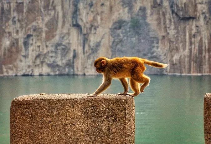 重庆旅游十大攻略自驾游,重庆周边城市三日自驾游最佳攻略