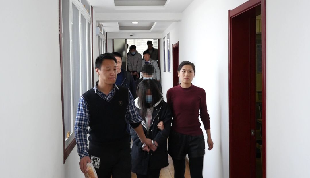 山东青岛最近发生的诈骗案,山东济宁诈骗案判刑案例