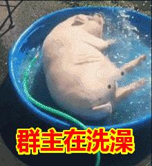 30张动图图片,会动的照片简直绝美