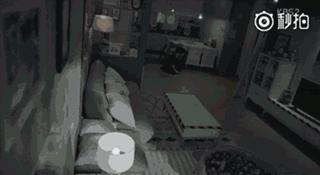 大s和妹妹聊生育观,大s谈论的生育观你赞成吗