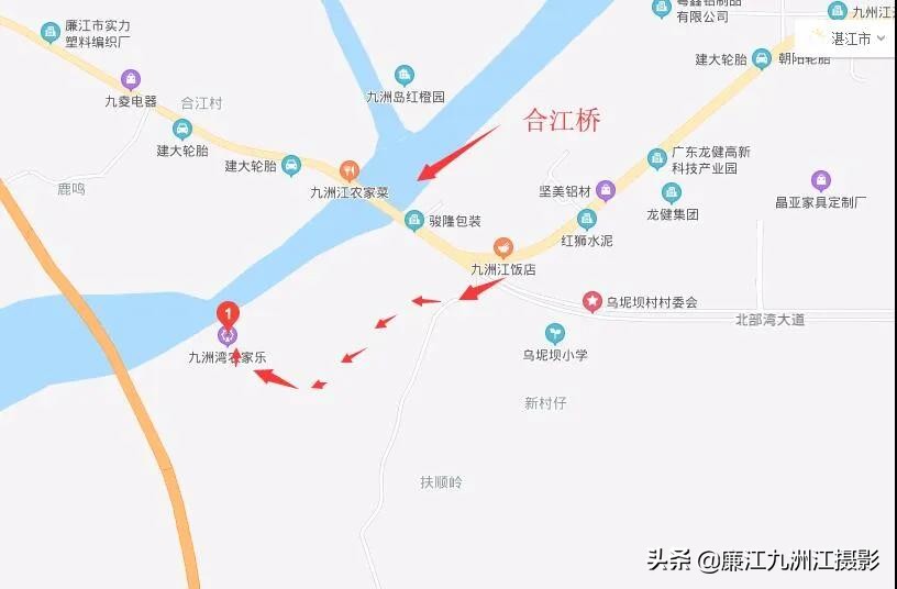 湛江市廉江荔枝节开幕式视频,廉江荔枝文化节