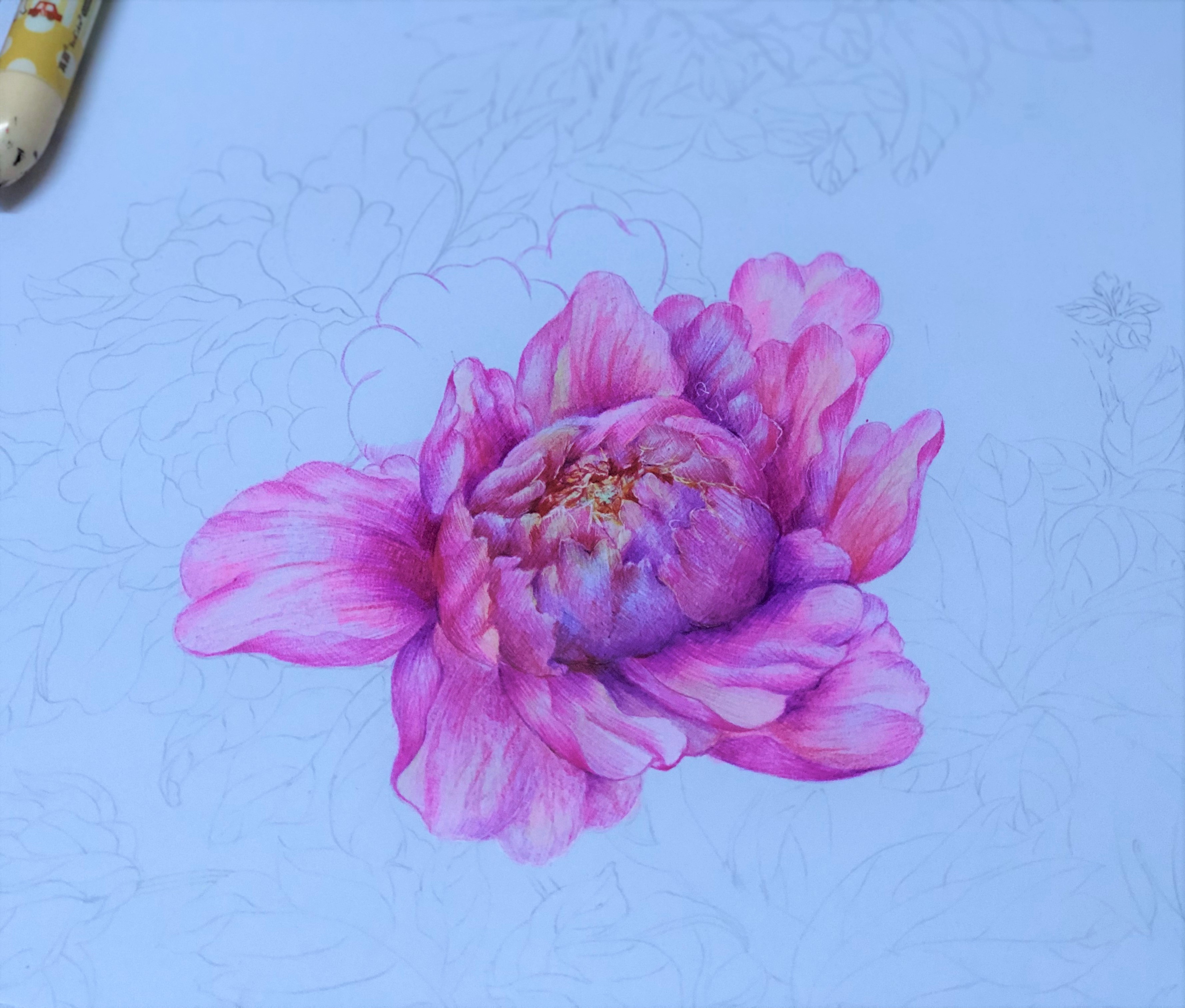 圆珠笔画牡丹教学,圆珠笔画牡丹的画法