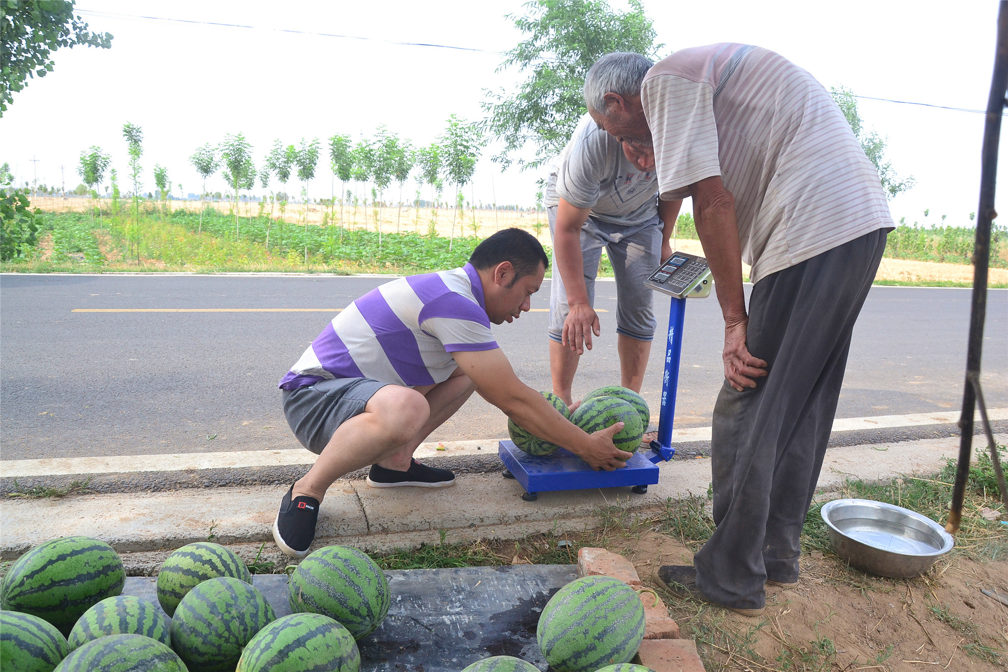 农村人创业的真实经历图片,80后农民创业记录