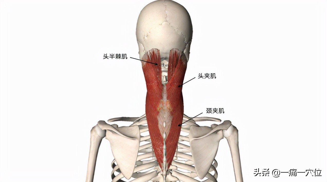 头顶疼痛怎么治疗最快最有效,头顶痛的最佳解决办法