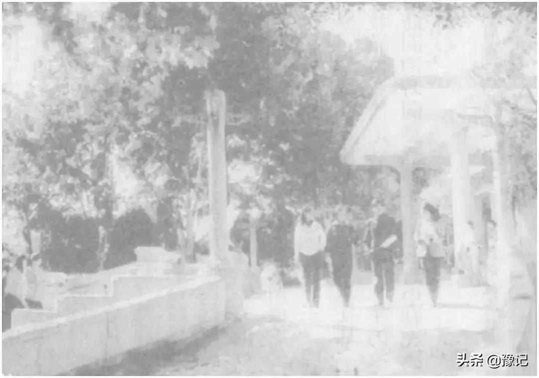 郑州十年的变化,郑州78岁老人为变年轻花30万