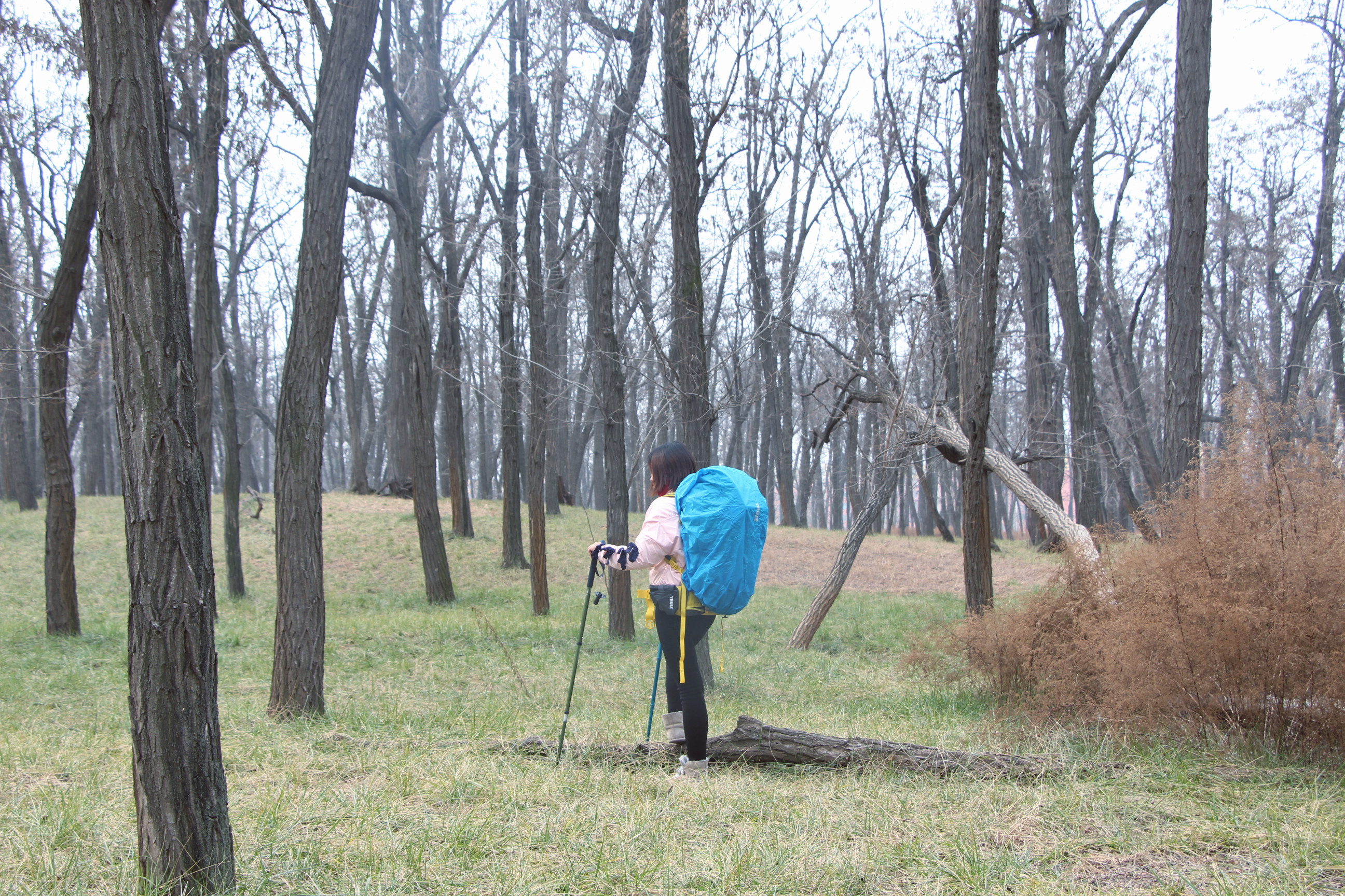 一包多用的旅行包,一包两背的旅行包