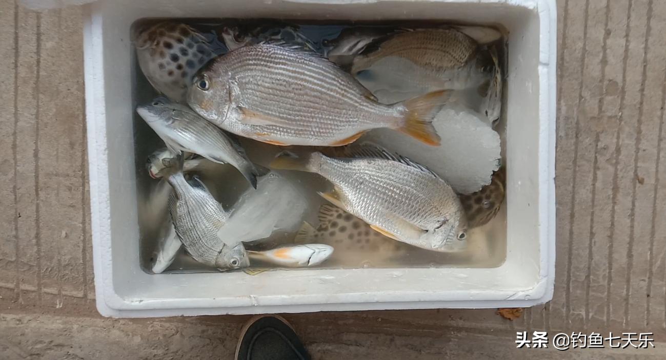 钓鱼发家致富成功案例,出海钓鱼一年赚百万