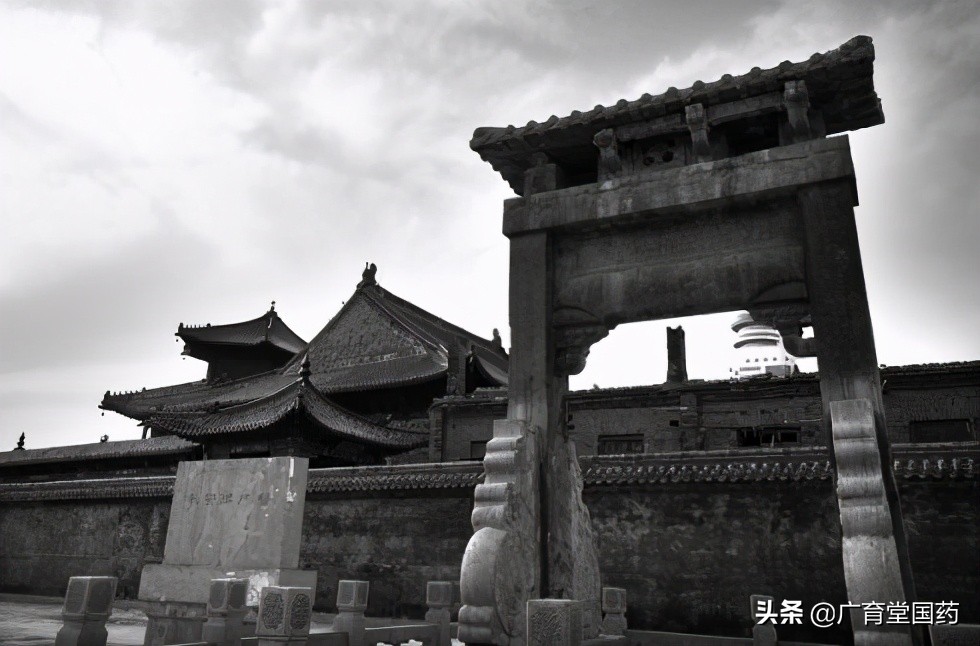 广育堂二仙膏排名,广育堂二仙口服液真的假的