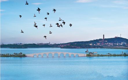 大家眼中的岳阳,外地人对岳阳的感受