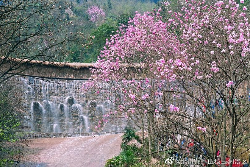5月18日成都免费游博物馆怎么预约,成都周边游玩哪些地方需要预约的