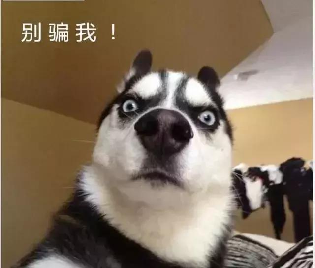 钻石的秘密视频,钻石的秘密故事