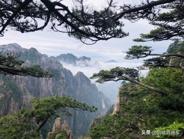 从深圳去美国的机票多少钱,深圳到沈阳直飞一月份机票多少钱