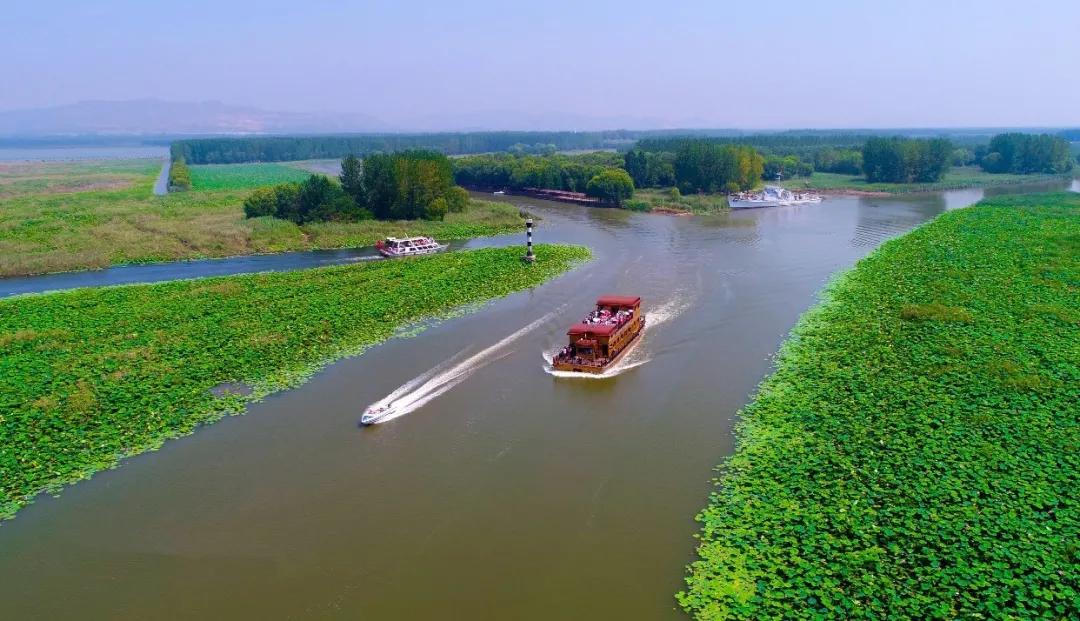 游玩赏荷花景点推荐,国家4a级景区荷花花海介绍
