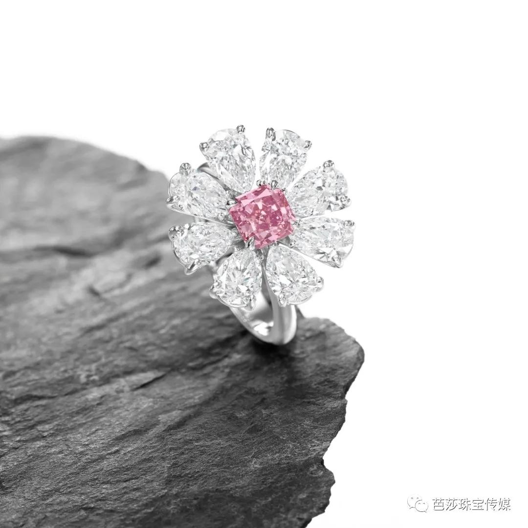 保姆级拍照教程软件,保姆级拍摄教程