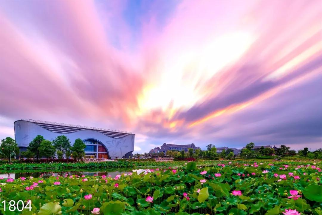 vr直播24小时,vr直播广西