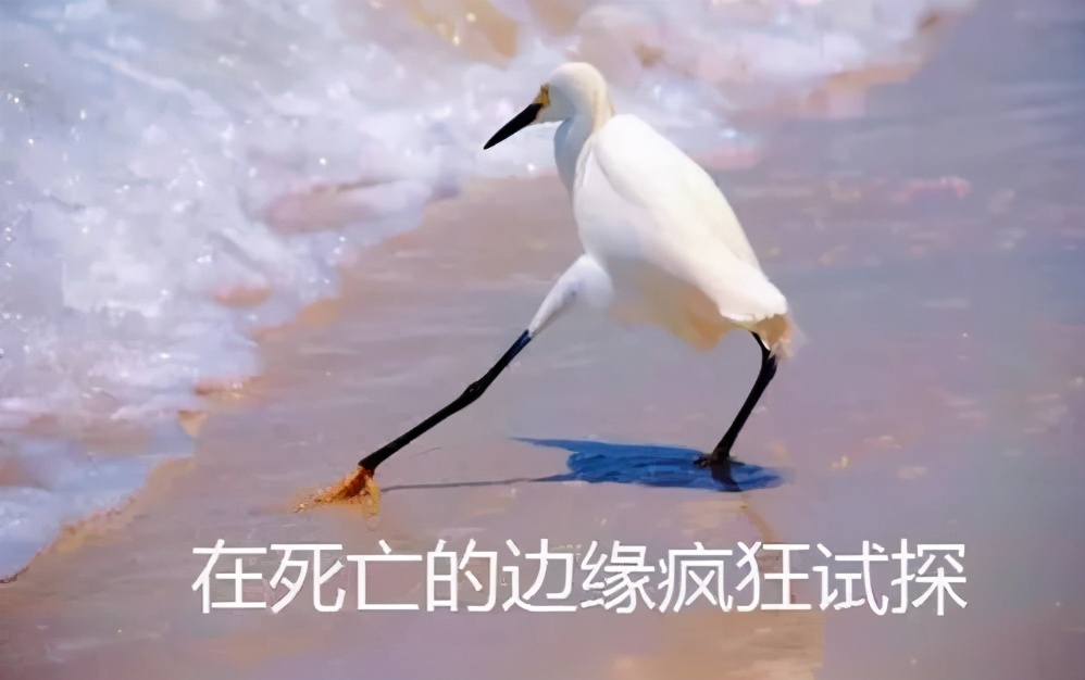 阿迪被处罚,阿迪达斯被要求整改