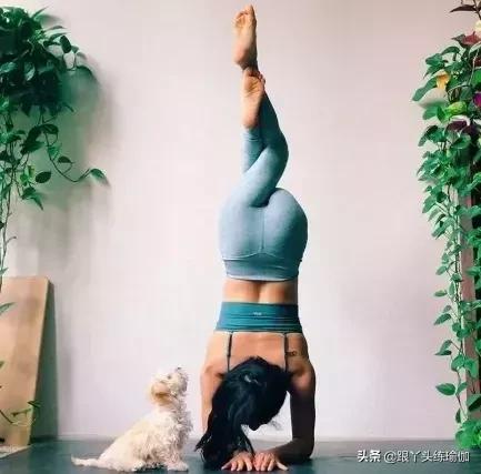 瑜伽练习中如何做到正确“收腹”，启动“核心”力量呢？
