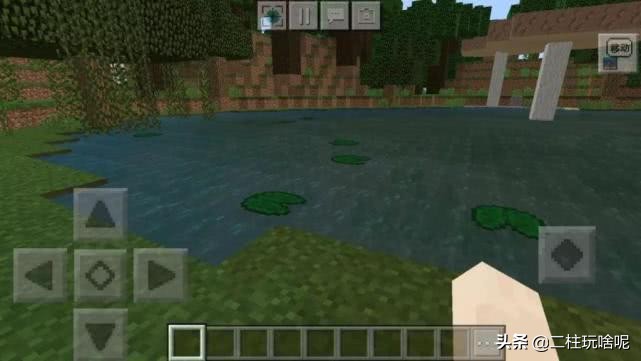 盘点一些我的世界植物排行榜,我的世界上有什么奇特的植物