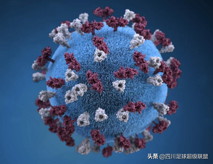 郜林转会深圳佳兆业,深圳佳兆业足球队名单郜林