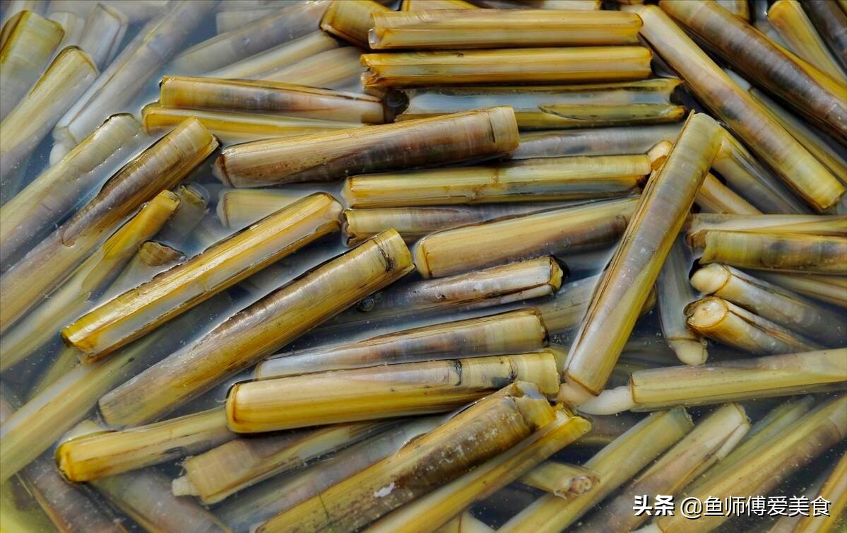 三月的蛏子鲜美,新鲜蛏子营养功效