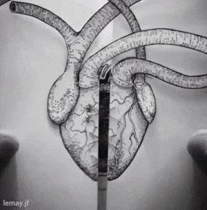 24年设计趋势,2020设计趋势指南重磅发布