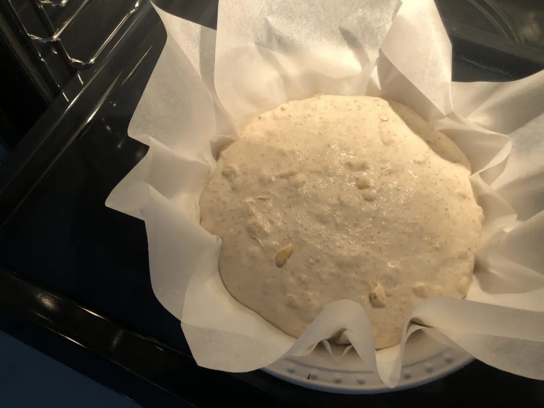 真正好用的蒸汽烤箱,最新款蒸汽烤箱