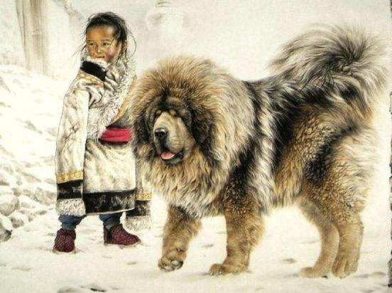 看家“首选”的6种狗狗，小偷看到了，都掉头走