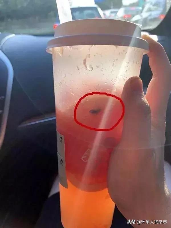 当一只苍蝇决定在喜茶里自杀