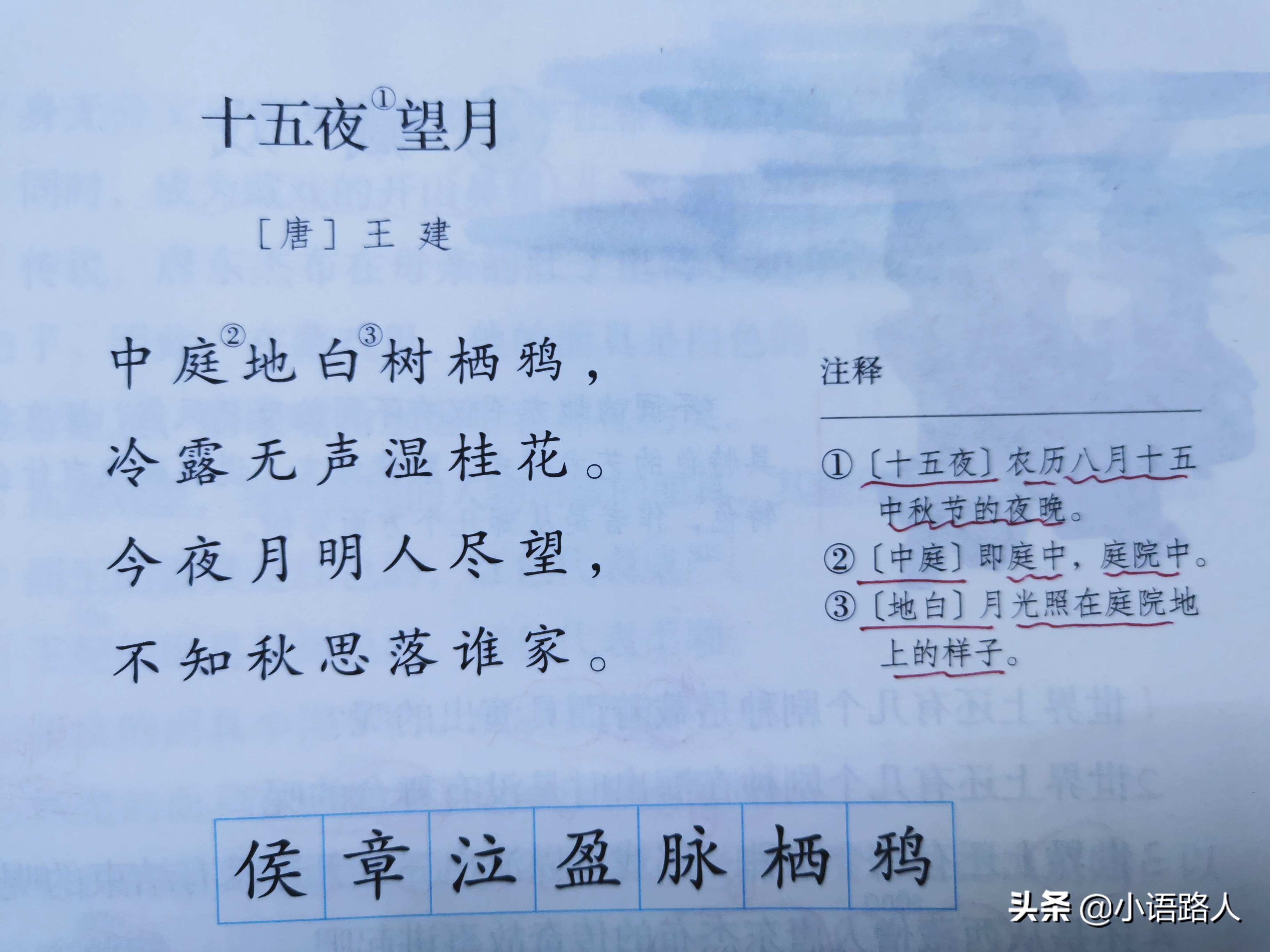 2020-2021小升初语文总复习,六年级下册小升初语文复习重点