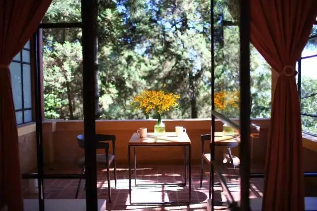 等一个人陪我去大理旅行,如果生活不如意不如一起去大理