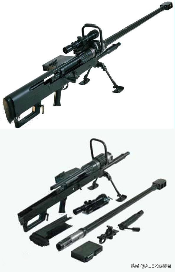 最大口径大象步枪,步枪大象