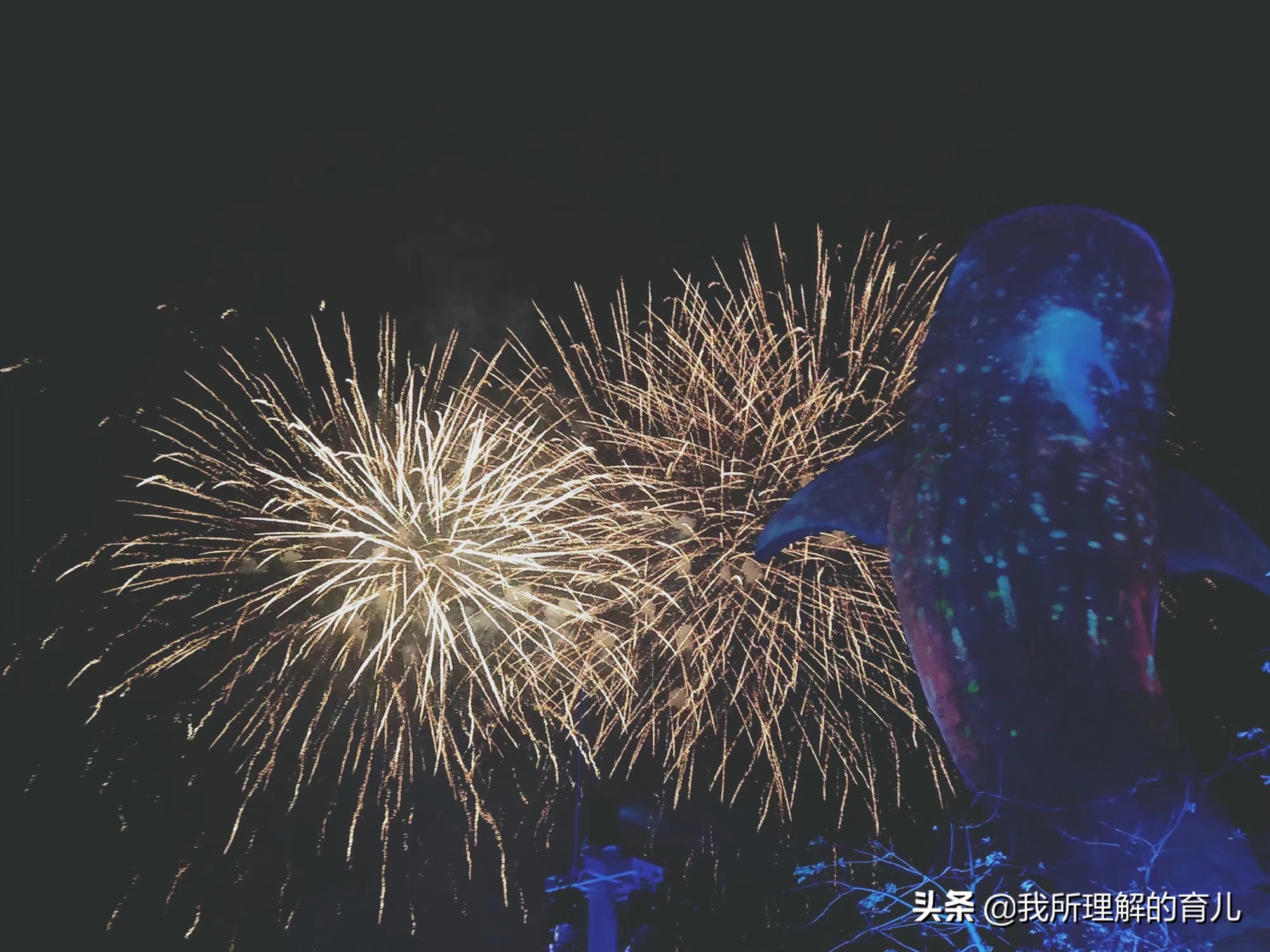 不带娃广州长隆野生动物园攻略,带孩子去广州长隆野生动物园攻略