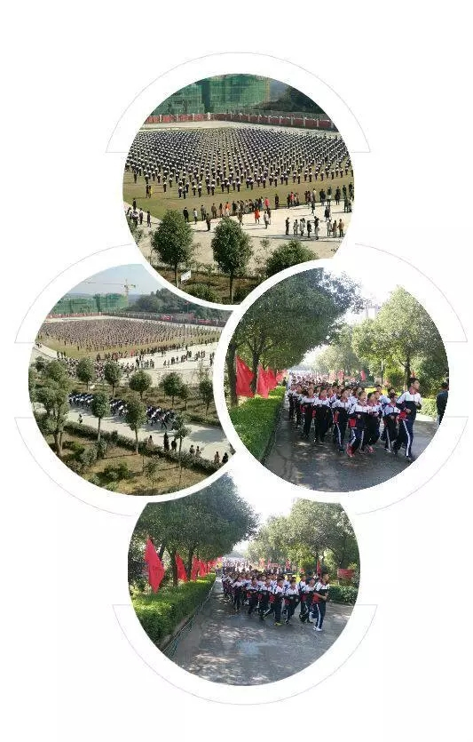 一所民办学校,民办学校为什么这么多