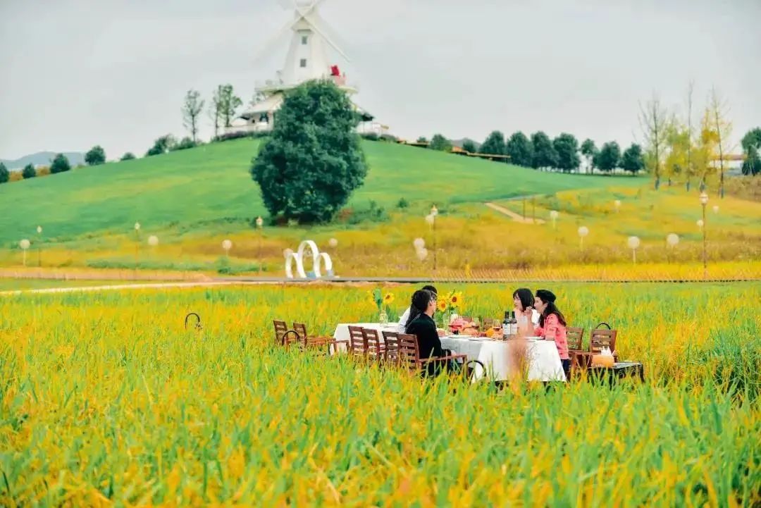 青白江遛娃宝藏地,青白江特色体育项目