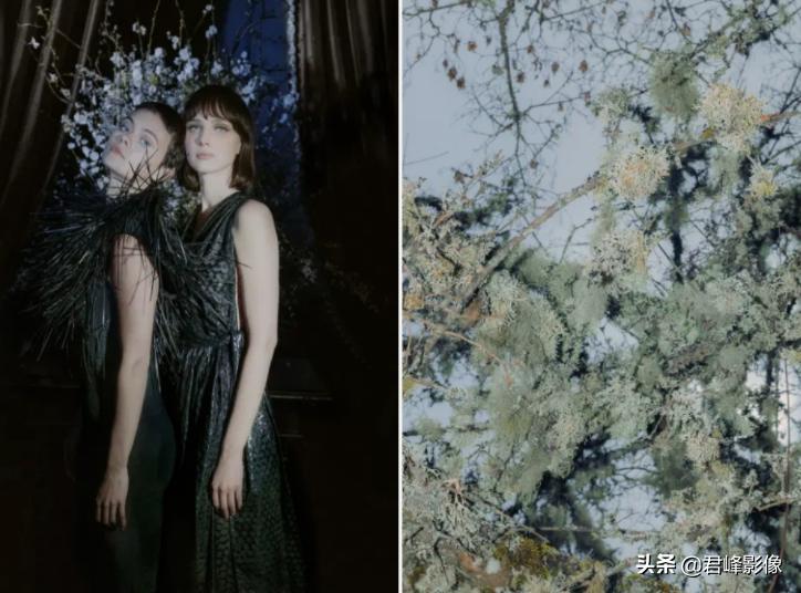 徕卡sl相机视频,徕卡sl最新款