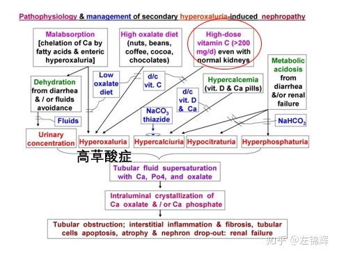 长期吃维生素c能美白吗,长期服用维生素C会提高免疫力吗
