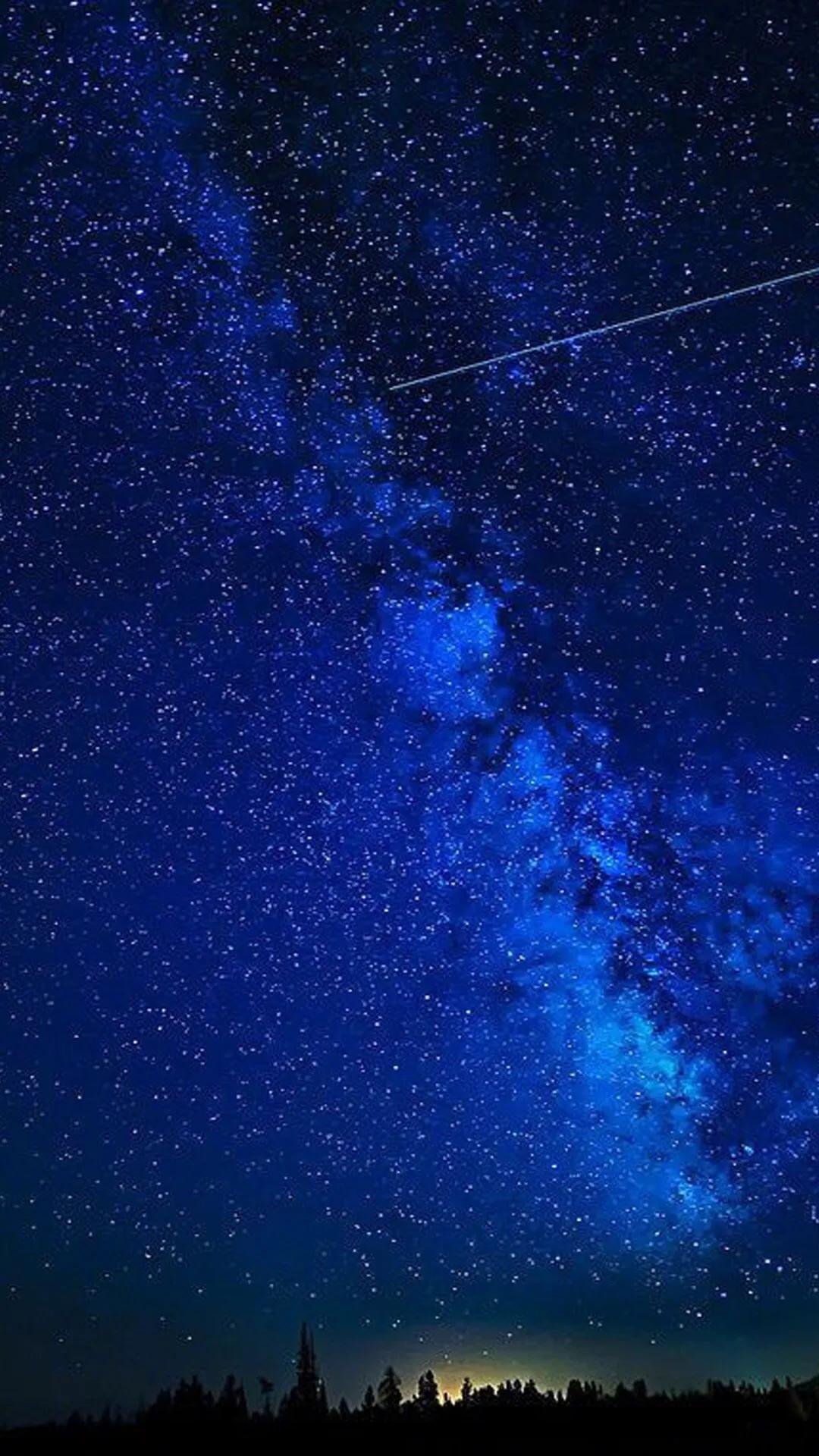 物种起源达尔文,物种起源讲解