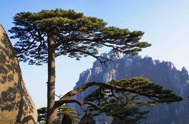 黄山与徽州的关系,黄山学院和黄山市