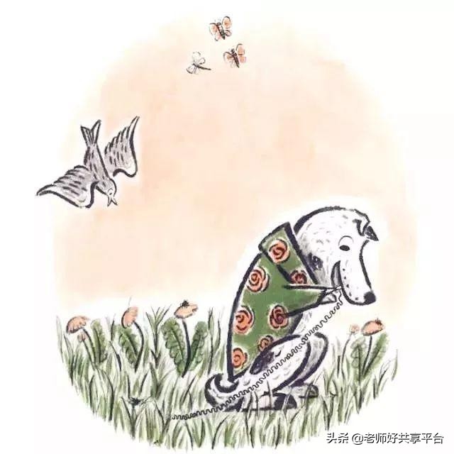 老师好睡前故事｜《哈利的花毛衣》