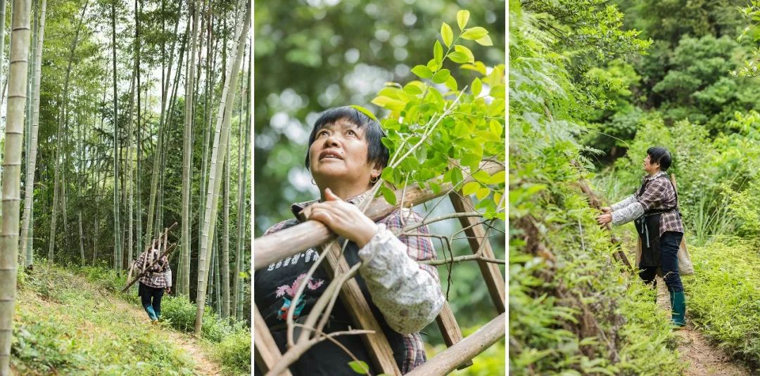 味道研究所,味道研究所上海