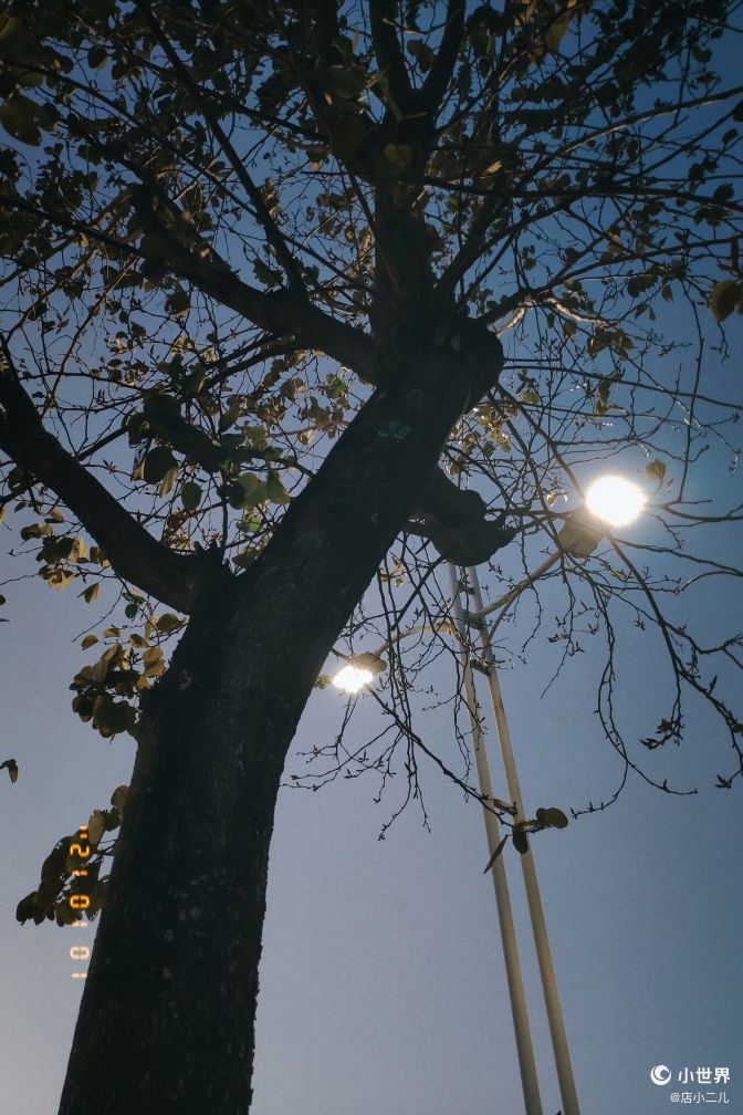 在广西师范大学的上学体验