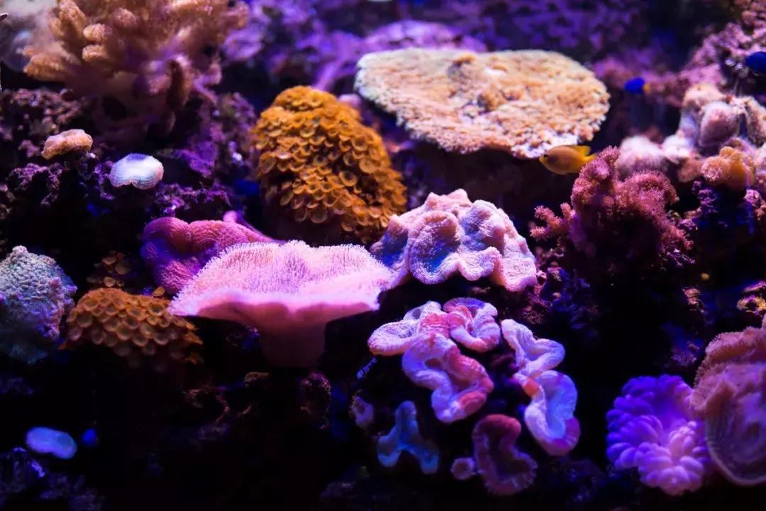 成都户外：这是涠洲岛，这里真的很好耍