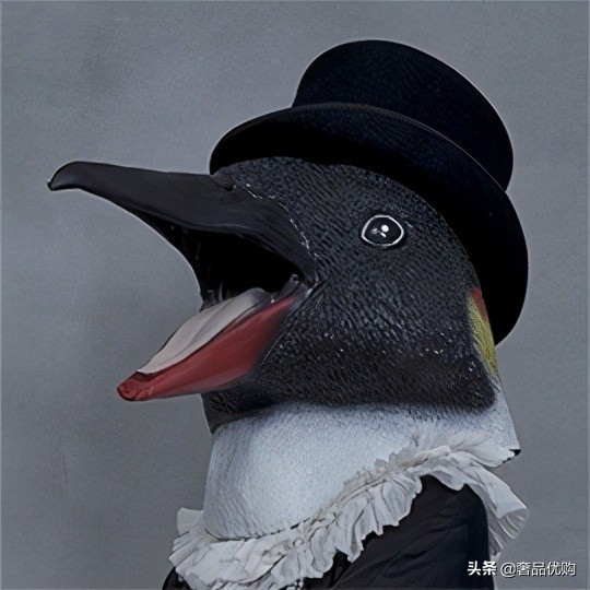 樋口裕子的马戏团,2022gucci樋口裕子