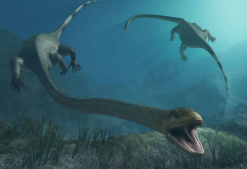 长白山天池只出不进为何不干涸,长白山天池为什么没有进水口