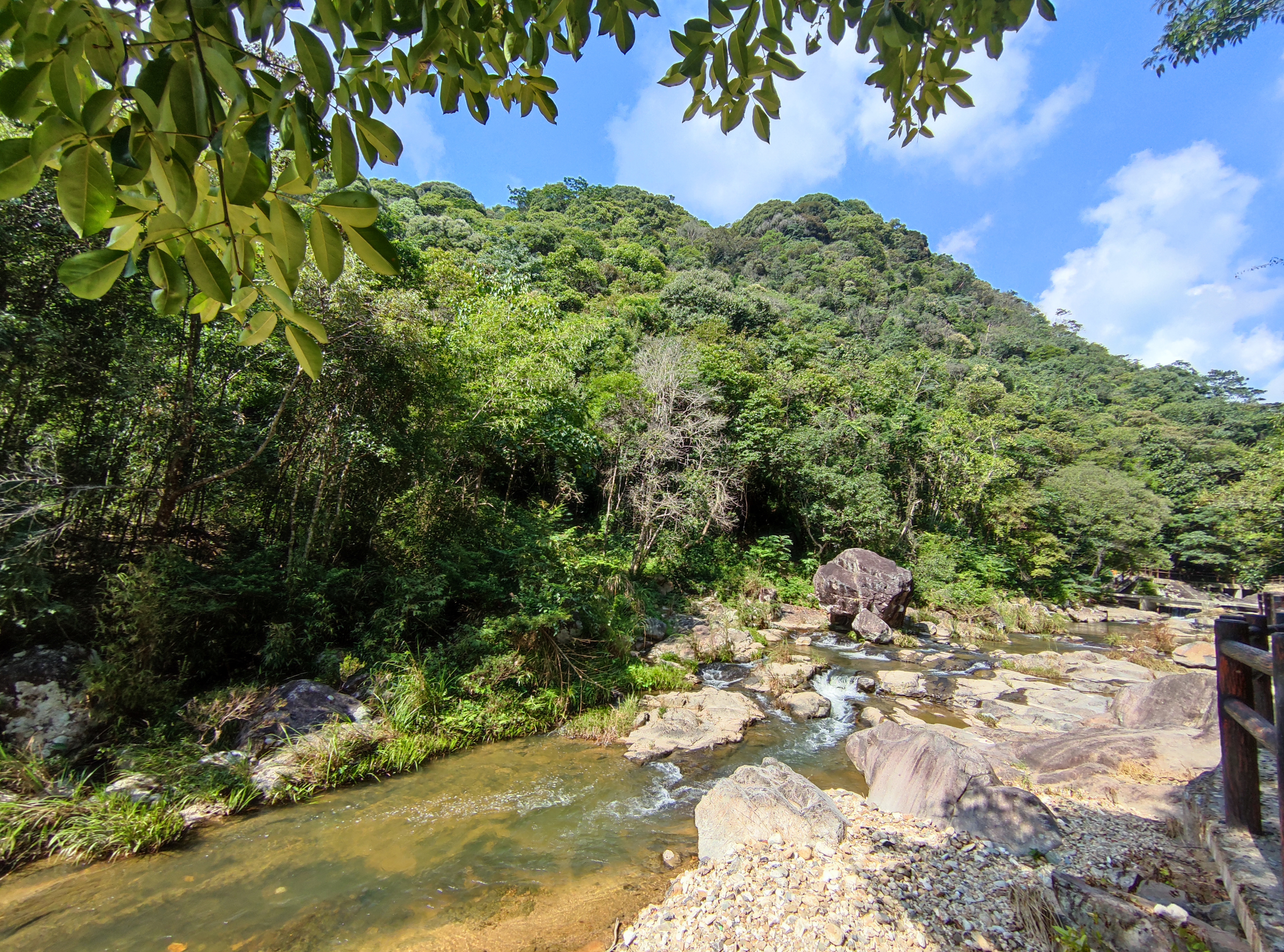 青山网红村,寿山九峰村有农家乐吗