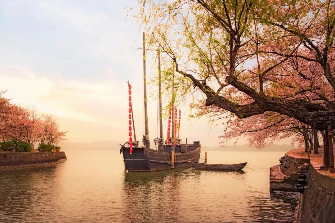 三大赏樱胜地哪个地方樱花最多,国内赏樱花的最佳地点